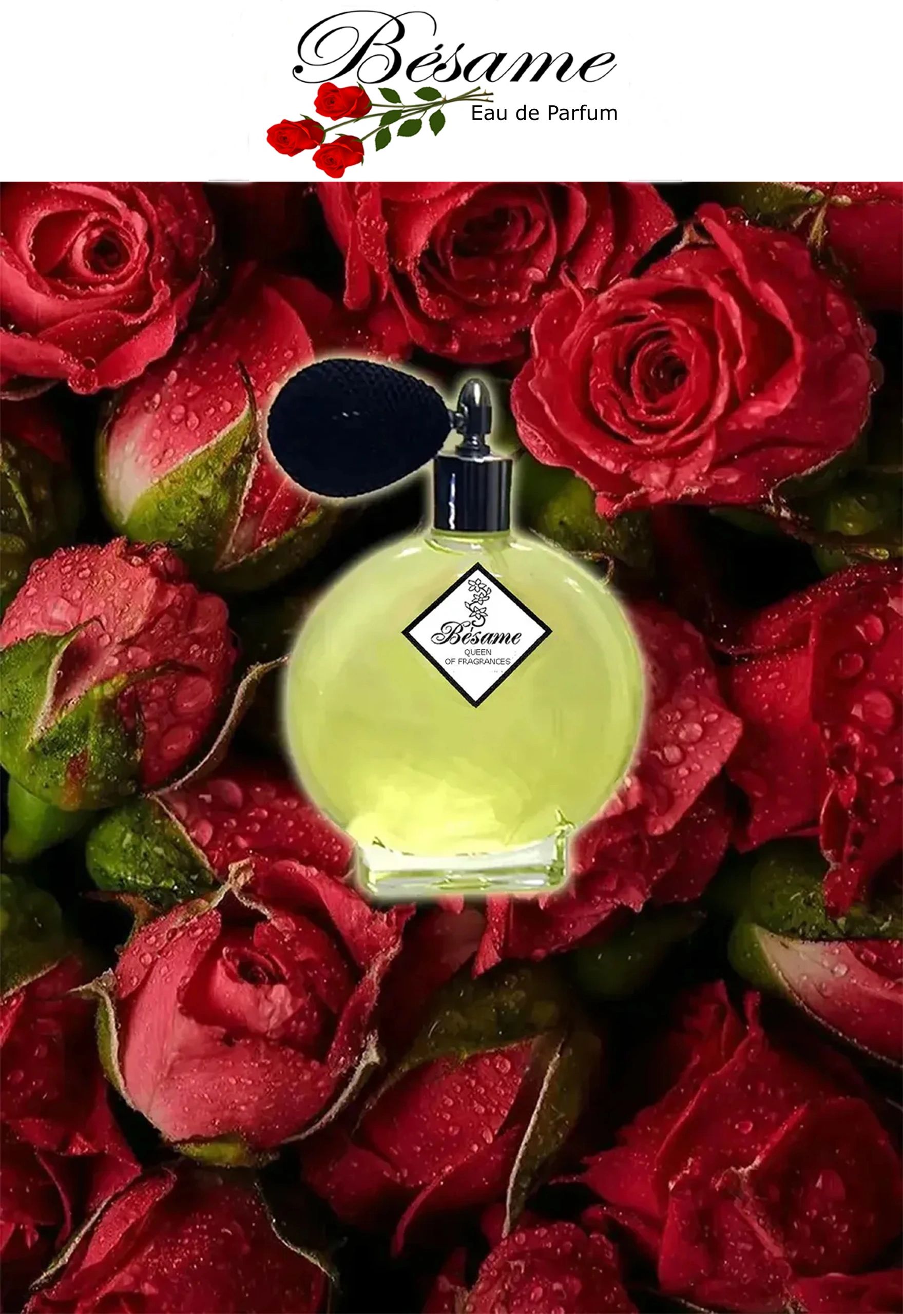 Besame × Disney マーメイド フレグランス 香水 ピーターパン